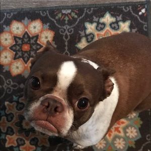 Meet your Posher, Jan